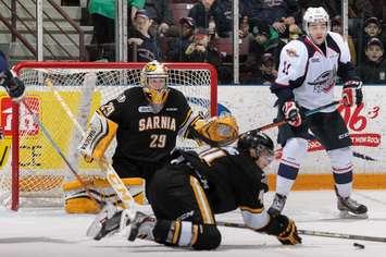 The Windsor Spitfires take on the Sarnia Sting, January 24, 2015. (Photo courtesy of Metcalfe Photography)