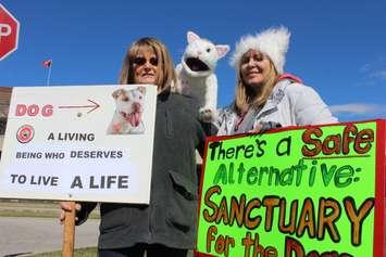 Animal rights protesters outside the Ontario Superior Court of Justice in Chatham on March 18, 2016. (Photo by Ricardo Veneza)