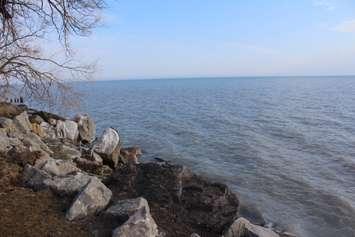Lake Erie on March 3, 2020 (Photo by Allanah Wills)