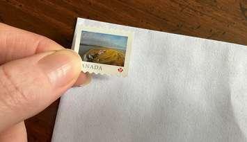 A stamp being placed on a letter. (Photo by Miranda Chant, Blackburn Media)