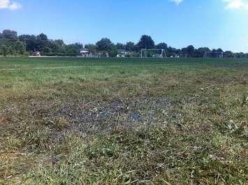 Sports fields at the Ford Test Track in Windsor saturated with water, July 11, 2013.