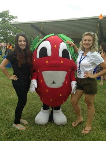 Local residents attend the LaSalle Strawberry Festival at Gil Maure Park, June 14, 2015. (Photo by the Blackburn Radio Summer Patrol)