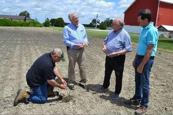 (Left to right) Farmer Emery Huszka shows soil conditions to Ontario's minister of agriculture Ernie Hardeman during a visit with Sarnia-Lambton MP Bob Bailey and Enniskillen Township Mayor Kevin Marriott. June 25, 2019 Submitted photo.