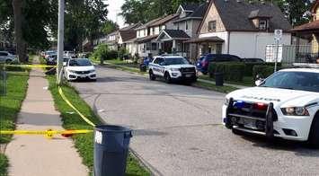 Police cruisers line Josephine Avenue in Windsor after a stabbing on July 29, 2019. (Photo by Mark Brown)