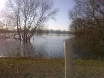 Wingham flooding (BlackburnNews.com file photo)