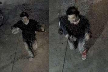 Police have released photos of two men suspected of stabbing another man in downtown Windsor. Aug 15, 2018. (Photo courtesy of WPS)