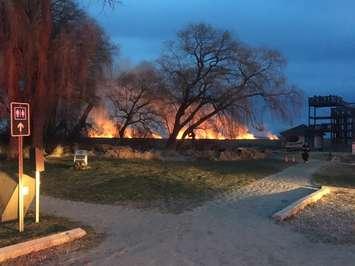 Fire crews battle a marsh fire at Point Pelee National Park, March 29, 2017. (Photo courtesy of the Leamington Fire Service)