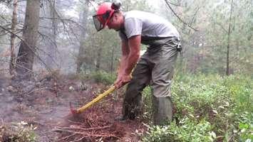 Crews work to build a fire break at Ellice Swamp. Photo and video by the Upper Thames River Conservation Authority.