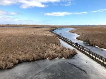 Point Pelee National Park, winter 2021. (Photo by Maureen Revait) 