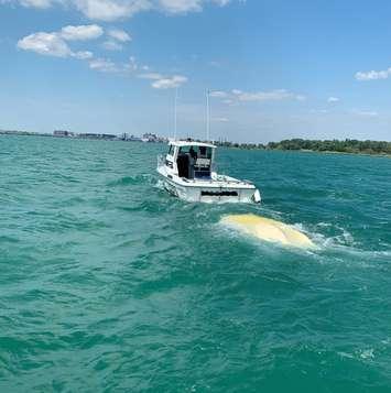 An OPP Marine Unit vessel is seen near a capsized boat on the Detroit River off LaSalle, August 8, 2020. Photo provided by Ontario Provincial Police.
