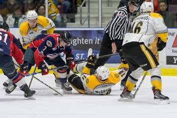The Windsor Spitfires take on the Sarnia Sting, November 17, 2017. (Photo courtesy of Metcalfe Photography)