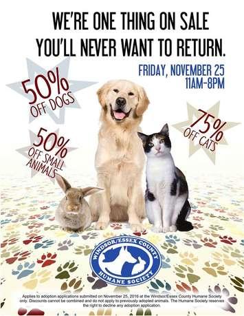A promotional poster for the Windsor-Essex County Humane Society Black Friday sale set for November 25, 2016. (Photo courtesy the Windsor-Essex County Humane Society)
