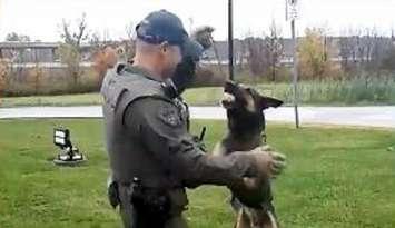 A screen shot of Maximus and his handler Constable Milan Matovski from tribute video courtesy of Essex County OPP.