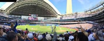 Toronto Blue Jays. Submitted Photo Nancy Morgan.
