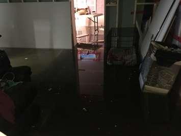 Flooded basement, September 29, 2016. (Photo by Maureen Revait)